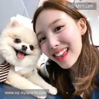怀献义